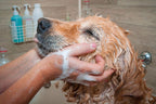 Dog Shampoo Bar product image 11