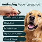 Adult Dog Multivitamin product image 11