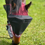 Horse Fly Mask product image 11