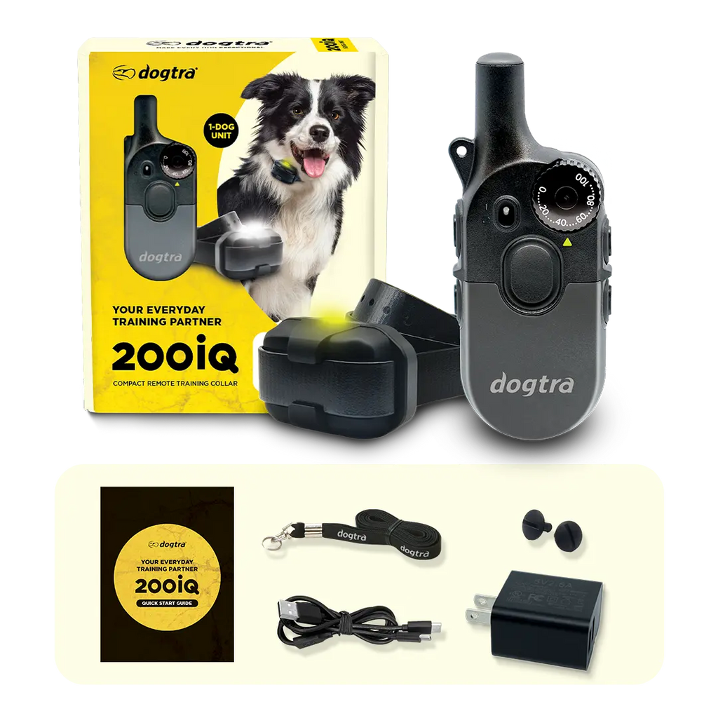 Dog Training Collar product image 11