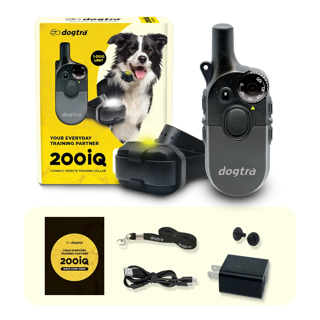 Dog Training Collar product image 11