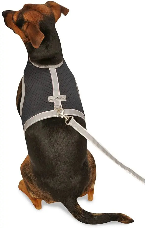 Reflective Mesh Small Pet Harness product image 11