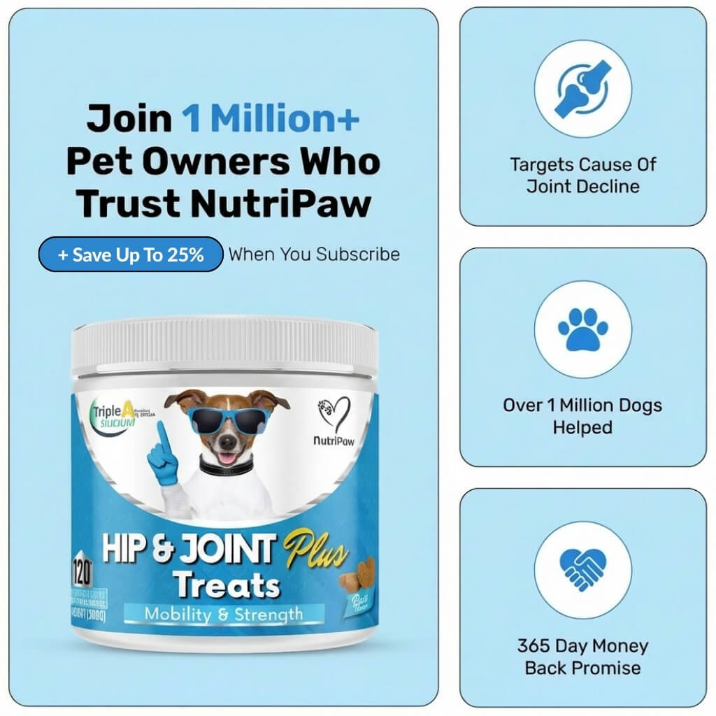 Dog Hip and Joint Support Treats product image 11