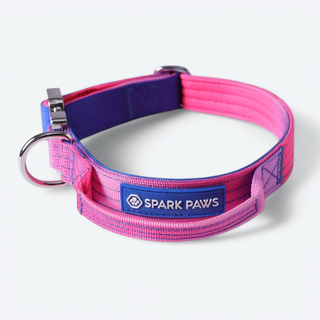 Tactical Dog Collar and Leash Set product image 11