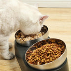 Elevated Stainless Steel Cat Bowl product image 10