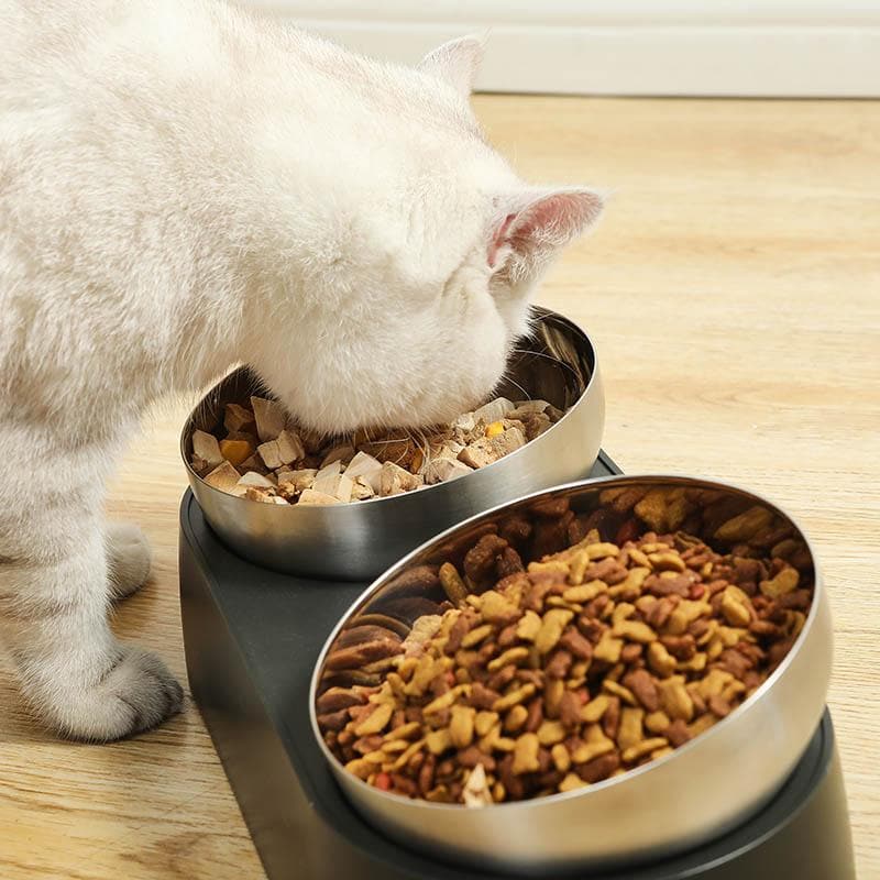 Elevated Stainless Steel Cat Bowl product image 10