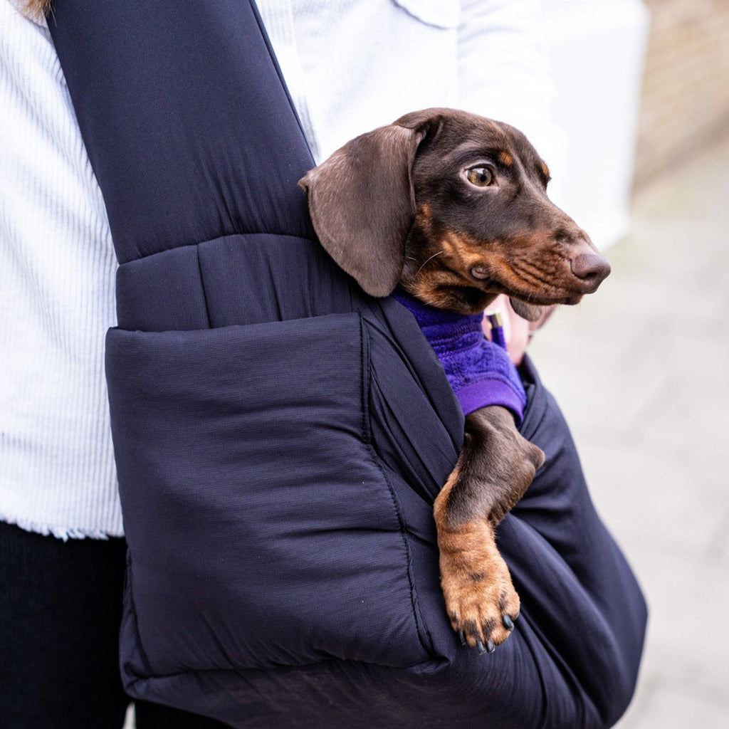Supportive Dog Carrier product image 11