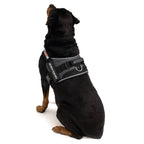 Dog Harness product image 11