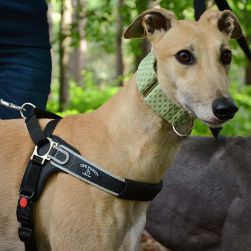Reflective Martingale No-Pull Dog Harness product image 11