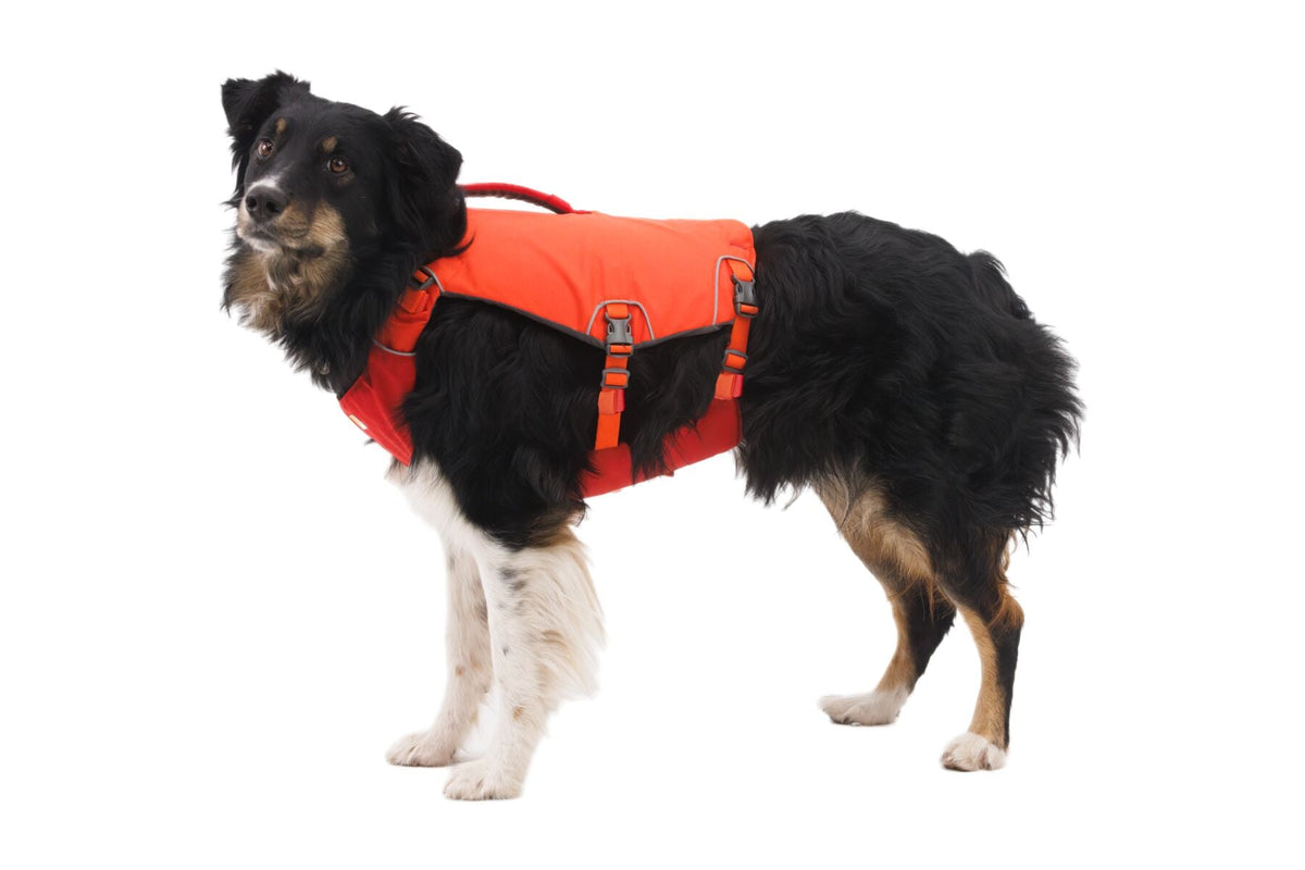 Dog Life Jacket product image 11
