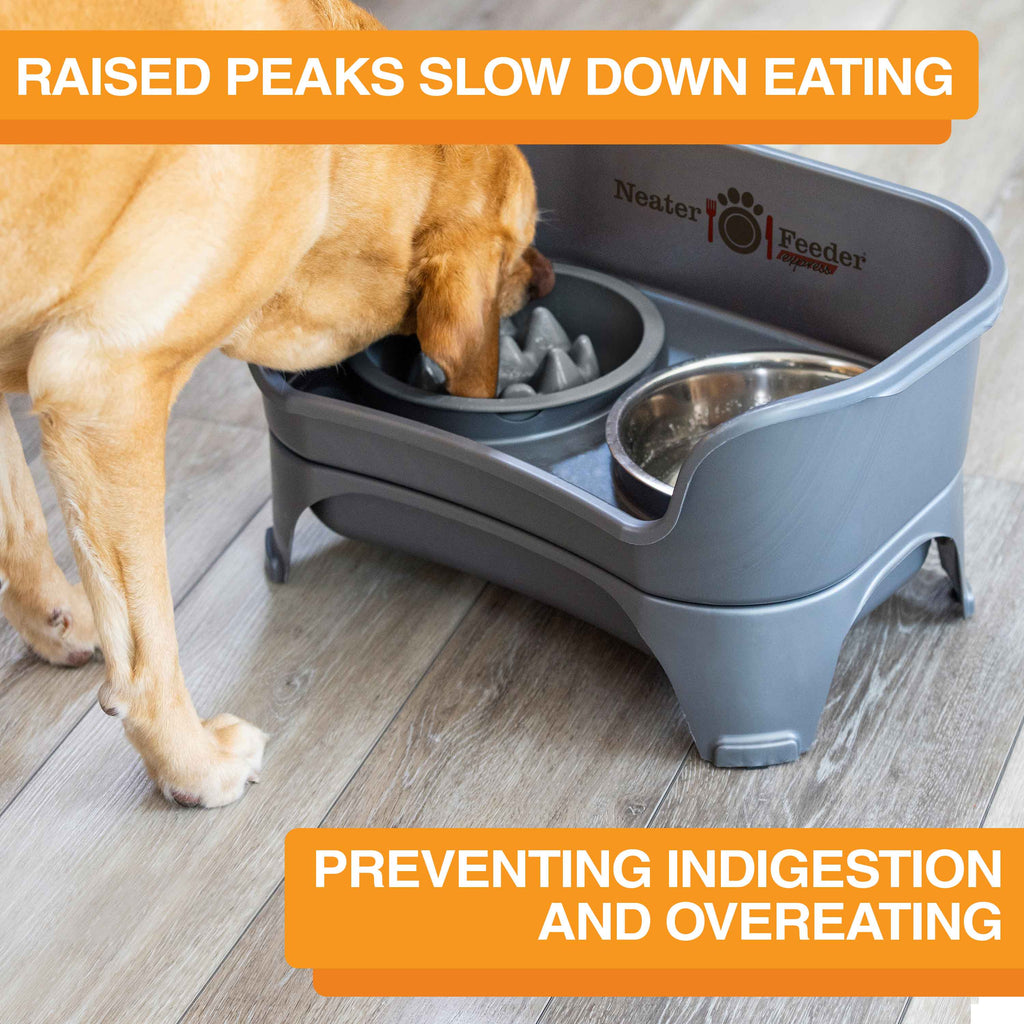 Slow Feeder Dog Bowl, Nine-Peak Non-Skid Two-Cup Design for Flat-Faced and Fast-Eating Dogs source image 12