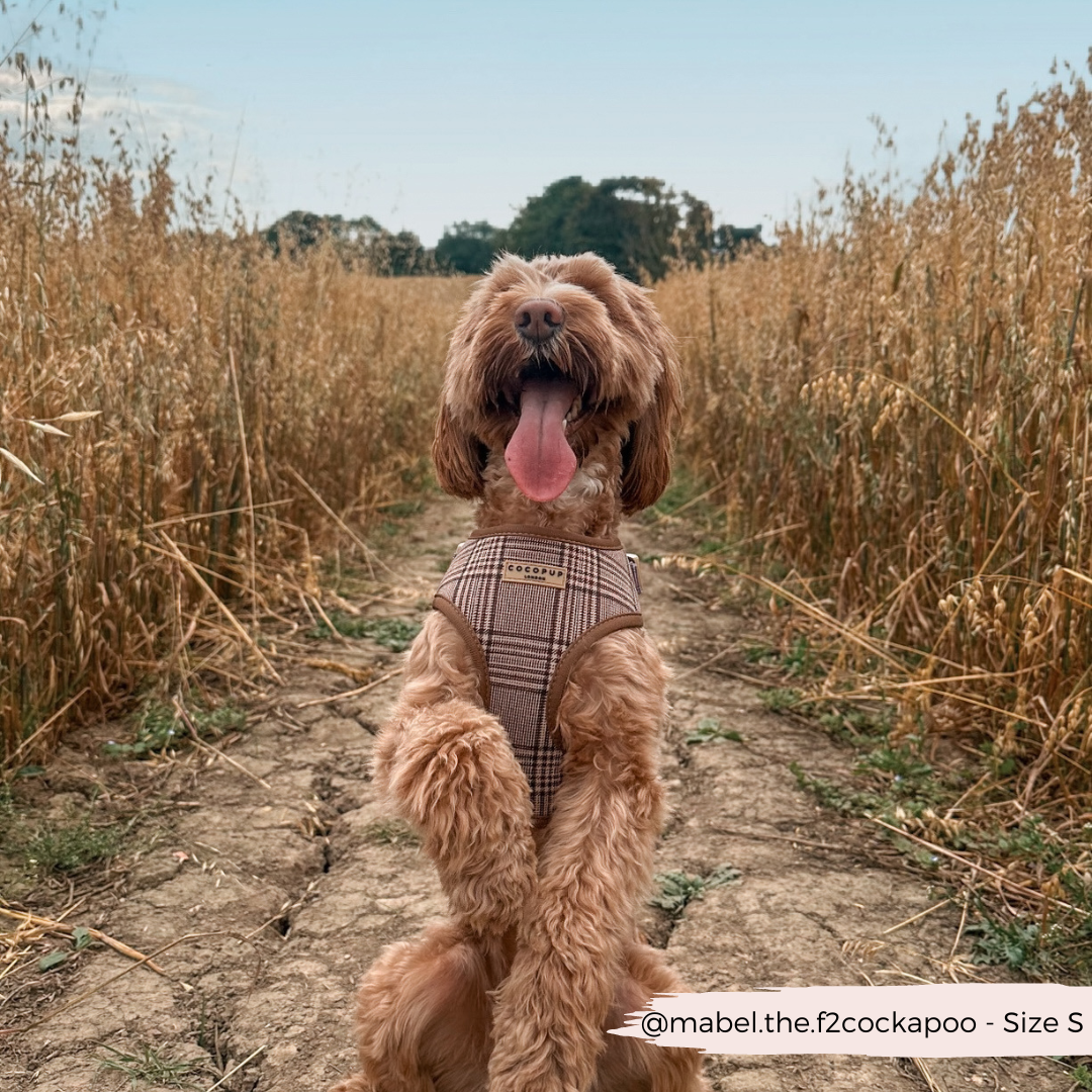 Adjustable Plaid Dog Harness for Comfortable Walks, Lightweight Polyester Design in Five Sizes source image 12