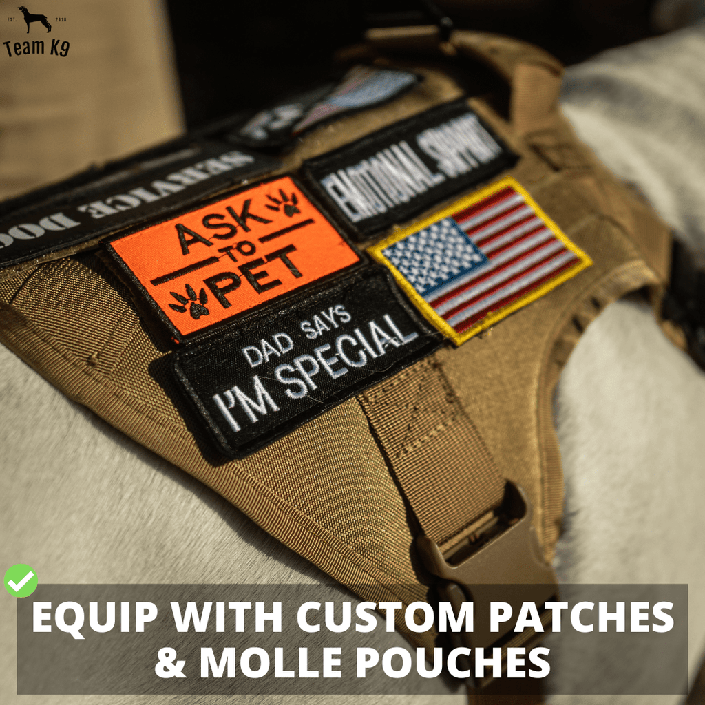 Heavy-Duty Tactical No-Pull Dog Harness with Dual D-Ring Control and Quick-Release Metal Buckles product image 12