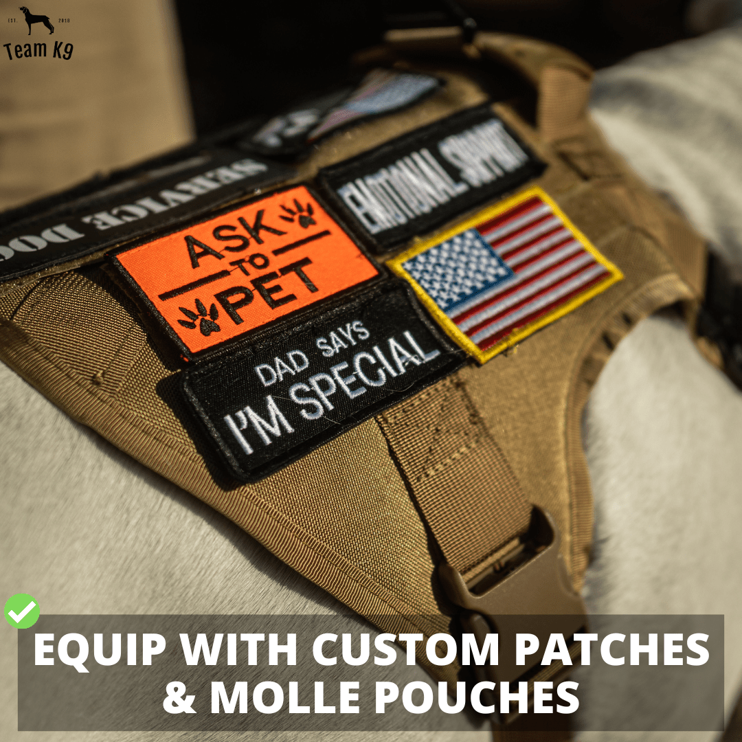 Heavy-Duty Tactical No-Pull Dog Harness with Dual D-Ring Control and Quick-Release Metal Buckles product image 12