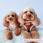 Adjustable Neck Dog Harness, Brown Faux Suede Walking Vest with Soft Fluffy Trim in XXS to Large Sizes source image 12