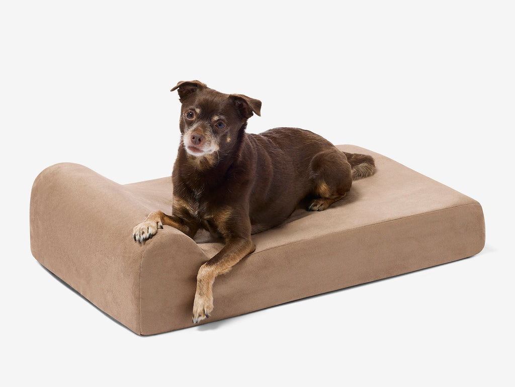 Orthopedic Dog Bed for Small and Medium Dogs, 4-Inch Layered Foam in Headrest and Sofa Styles source image 12