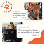 Pet Car Booster Seat and Carrier for Small Pets, Convertible Travel Basket with Safety Tether and Pillow source image 12