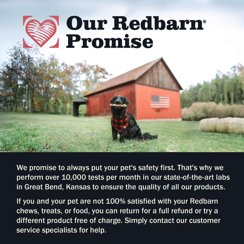 Dental Brush Chews for Dogs, Ridged Limited-Ingredient Treats in Small or Large Packs for Daily Oral Care source image 12