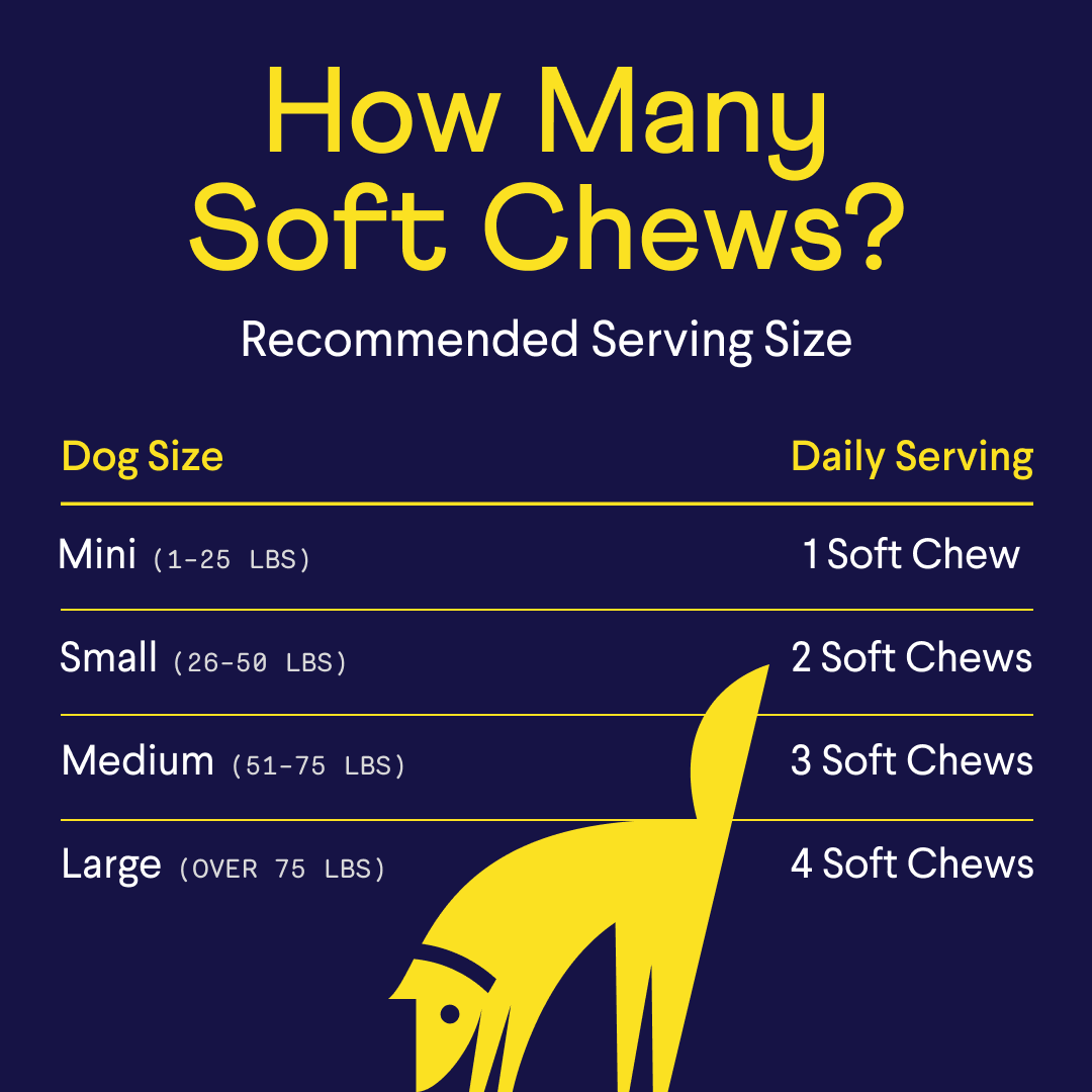 Dog Allergy and Digestive Supplement Bundle, Soft Chews for Seasonal Comfort and Everyday Gut Support source image 12