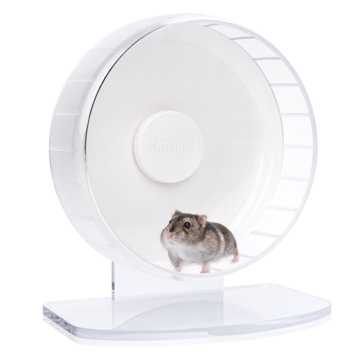 Super-Silent Hamster Exercise Wheel with Adjustable Height and Dual-Bearing Spinner in Four Sizes source image 12