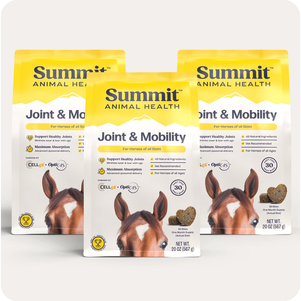 Horse Joint Mobility Supplement Bites for Daily Feed Support Using Liposomal Delivery Technology product image 12
