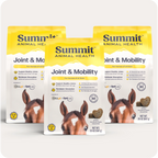 Horse Joint Mobility Supplement Bites for Daily Feed Support Using Liposomal Delivery Technology product image 12