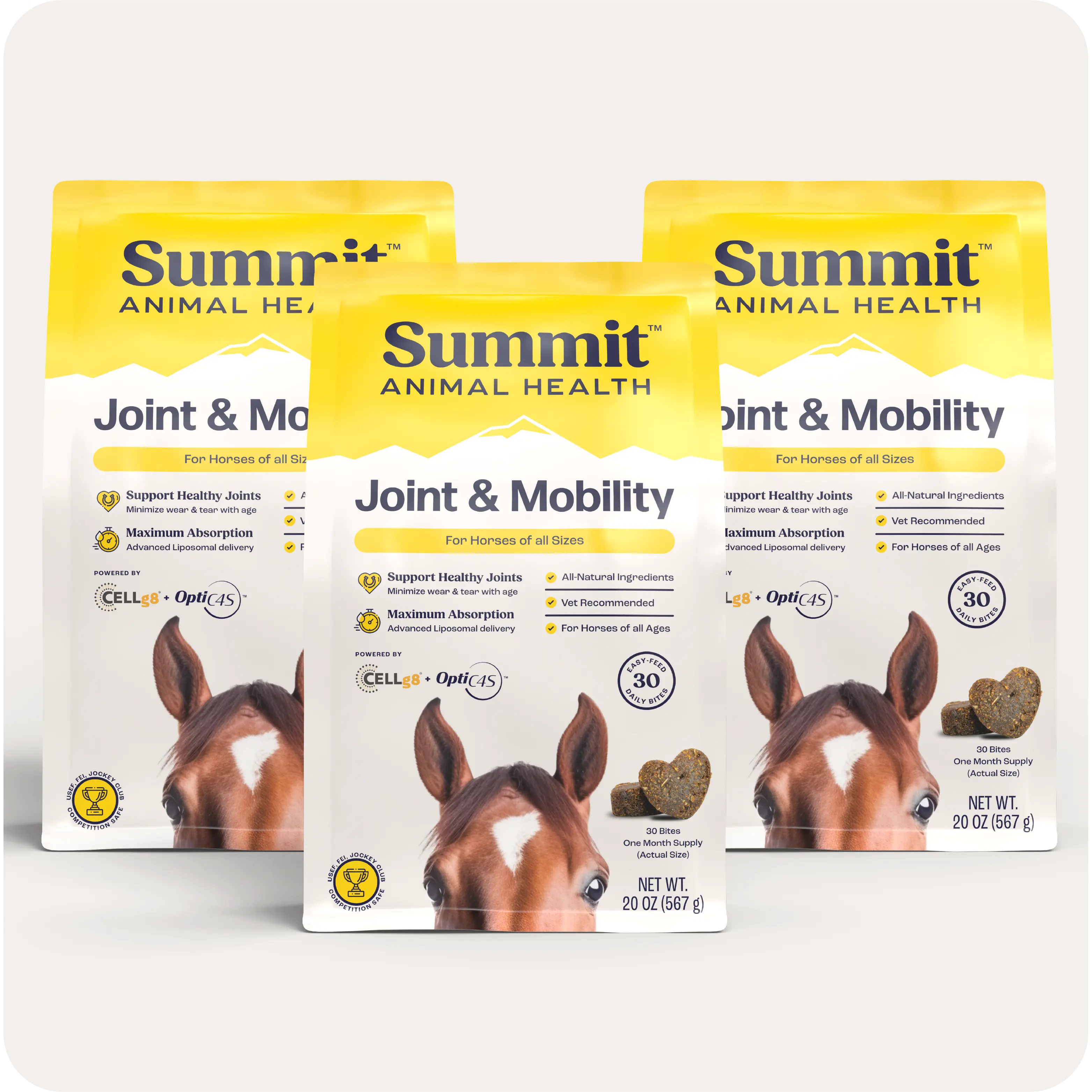 Horse Joint Mobility Supplement Bites for Daily Feed Support Using Liposomal Delivery Technology product image 12