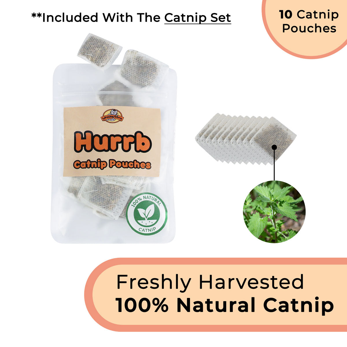 Interactive Bird Cat Toy Bundle, Weighted Base and Suction Cup Set with Five Realistic Attachments for Hunting Play source image 12