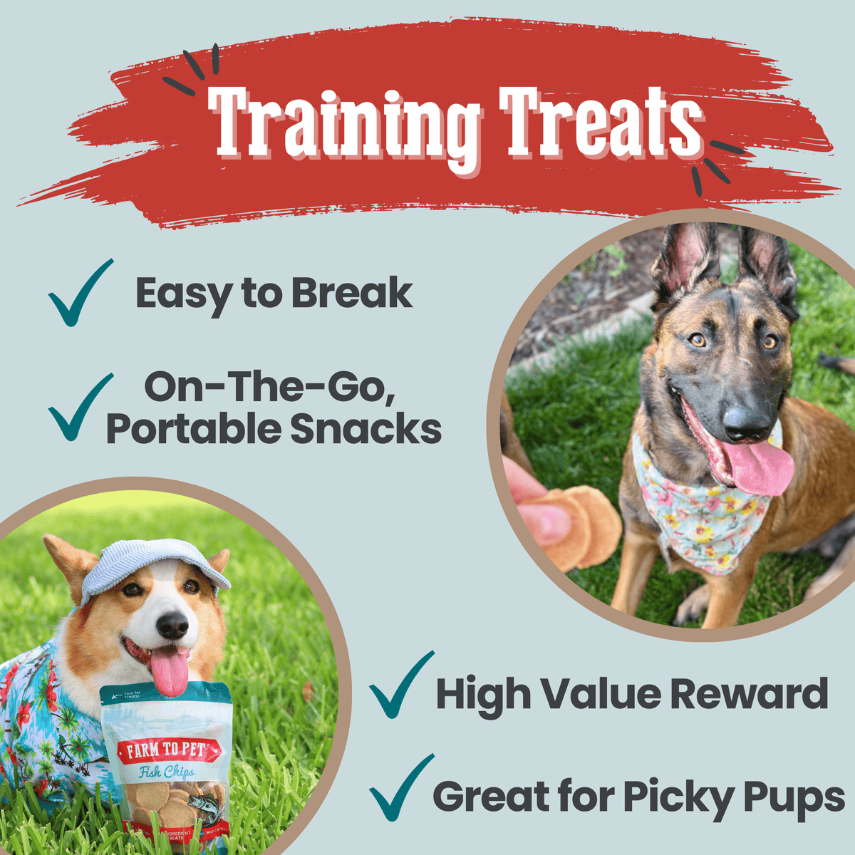 Walleye Fish Chip Dog Treats product image 12