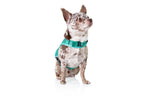 Martingale Dog Harness product image 12