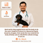 Liquid Dog Wellness Supplement product image 12