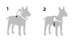 Lightweight Air Mesh Dog Harness product image 12