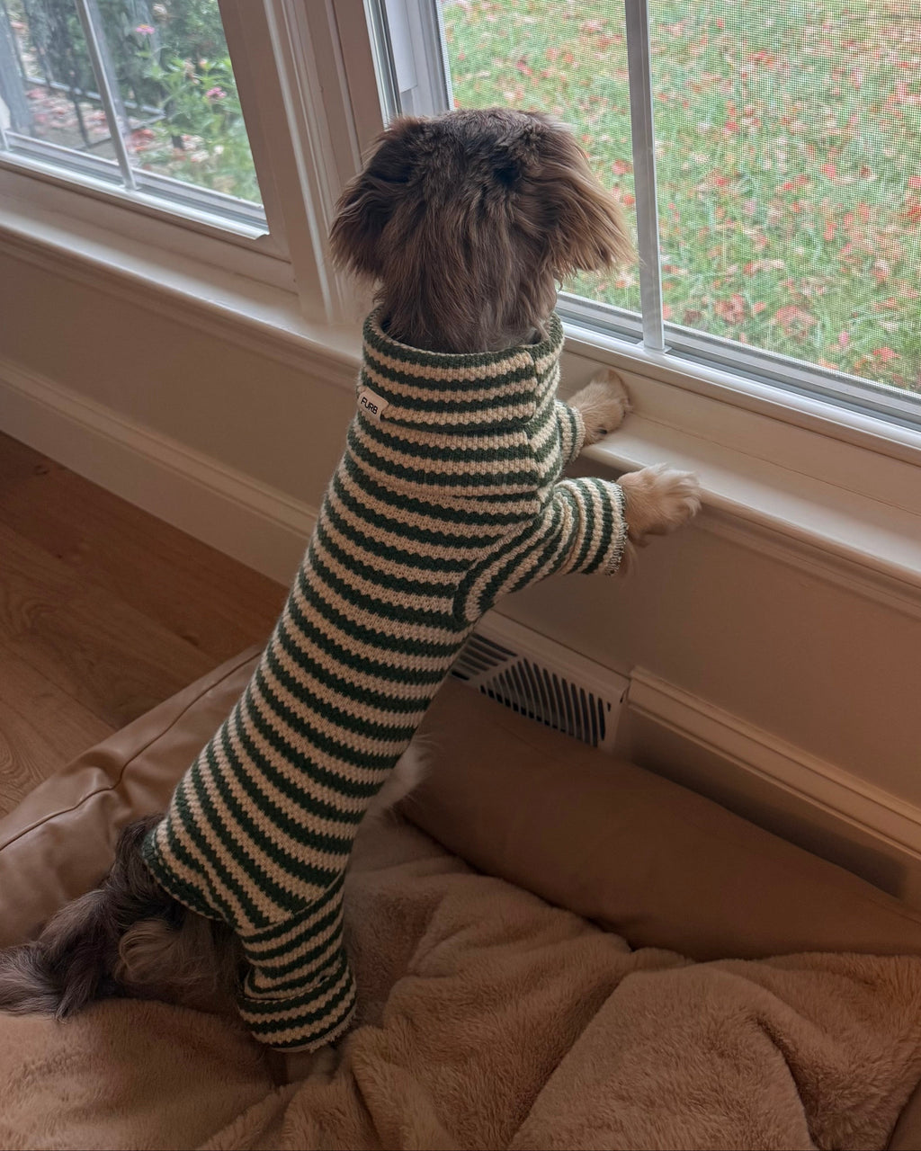 Striped Knit Dog Onesie product image 12