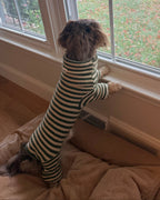 Striped Knit Dog Onesie product image 12