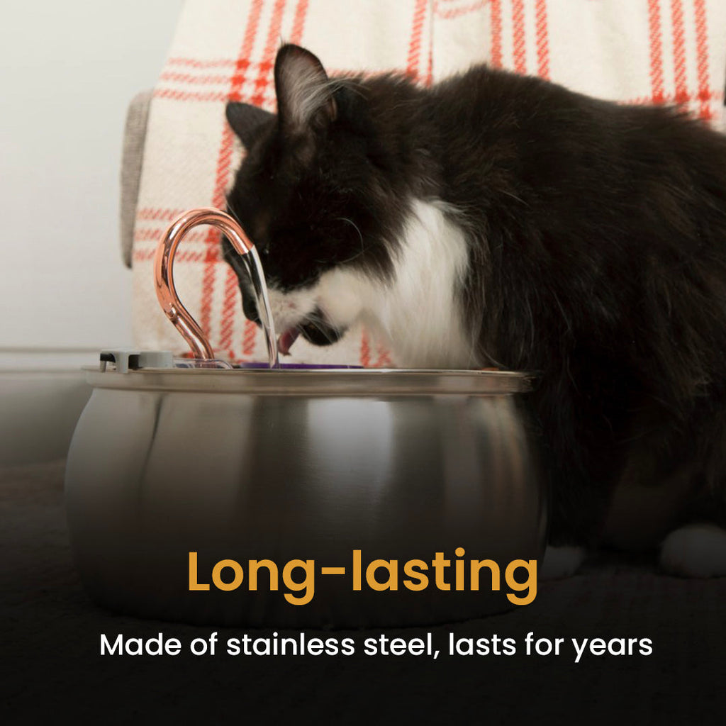 Cat Water Fountain Bundle product image 12