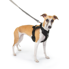 Crash-Tested Dog Car Safety Harness product image 12