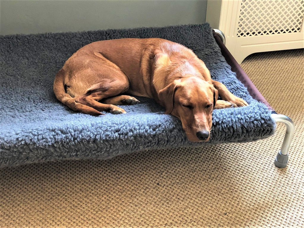 Raised Dog Bed product image 12
