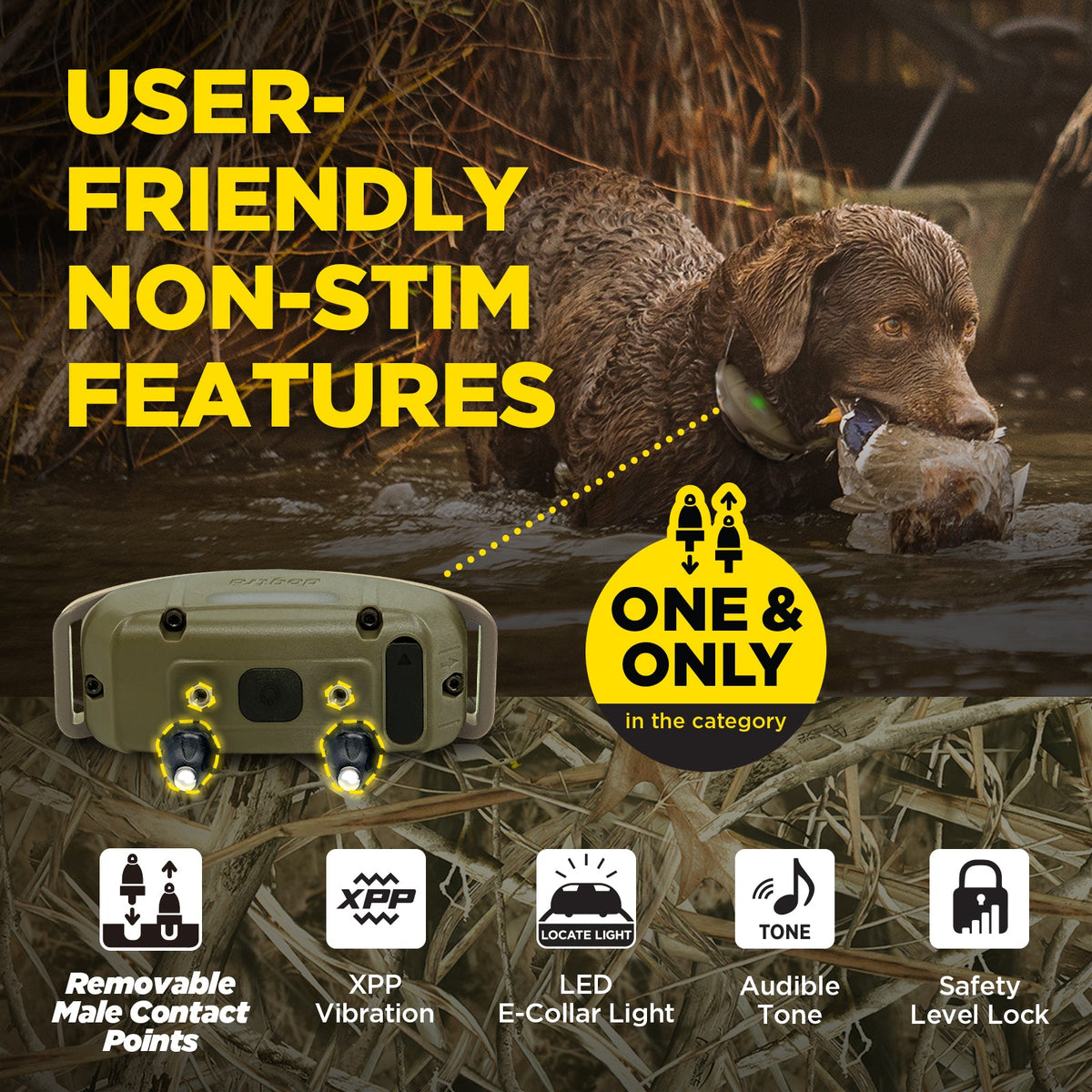 Dog Training Collar product image 12