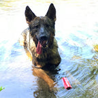 Dog Training Dummy product image 12