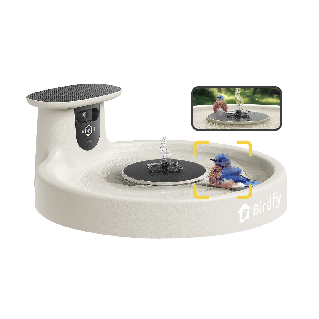 Solar Smart Bird Bath Camera product image 12
