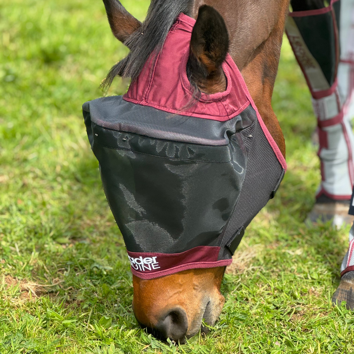 Horse Fly Mask product image 12