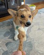 Coconut Rope and Coffee Wood Dog Chew Toy product image 10
