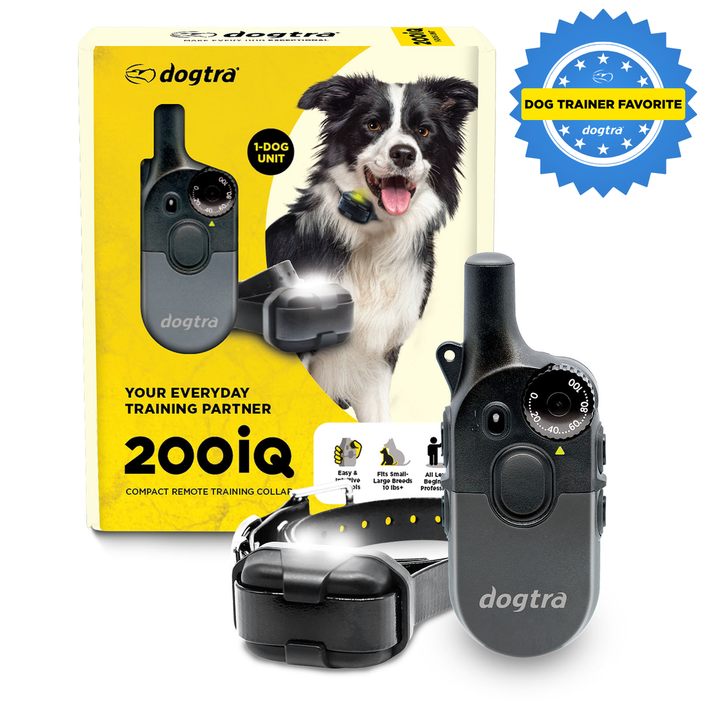 Dog Training Collar product image 12