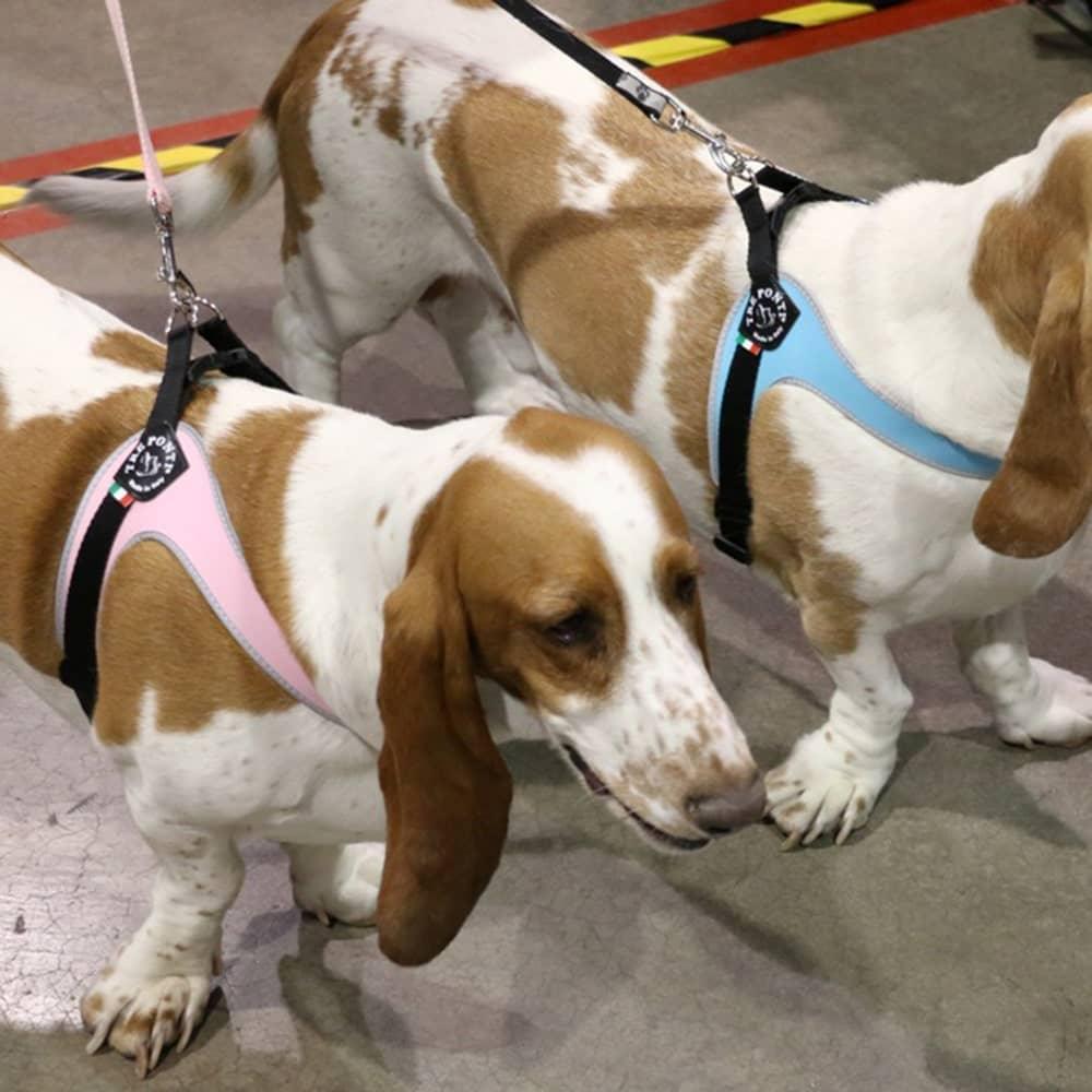 Pet Harness product image 12