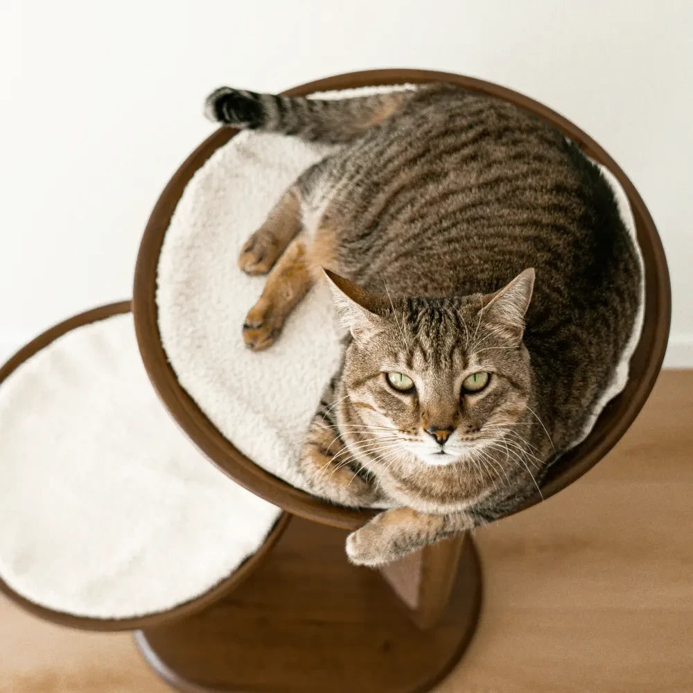 Cat Tree product image 12