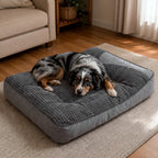 Calming Dog Cushion product image 12