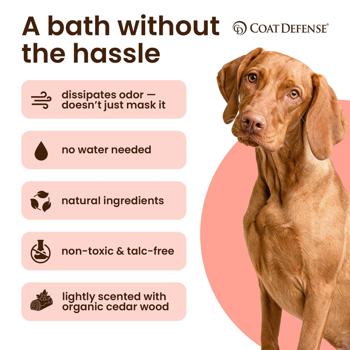Dog Skin and Coat Care Bundle product image 12