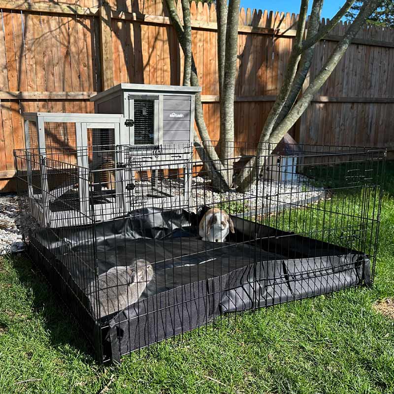Rabbit Hutch and Playpen product image 12