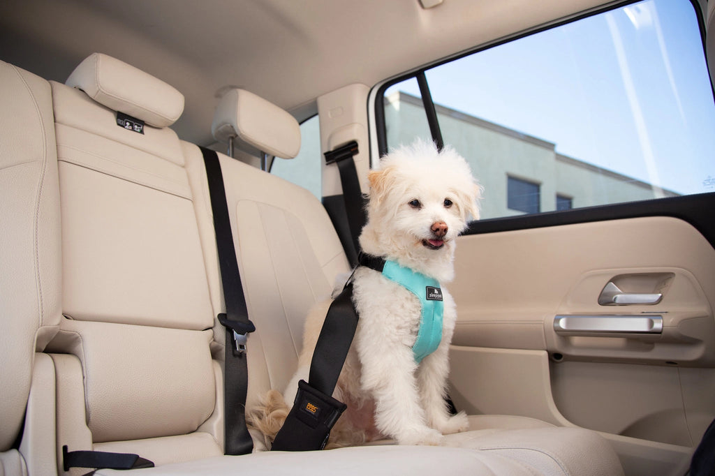 Dog Car Harness product image 12