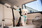 Dog Car Harness product image 12